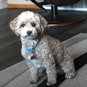 Meet your Posher, Sylvia